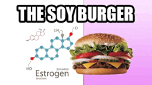 a picture of a hamburger next to a diagram of estrogen structure