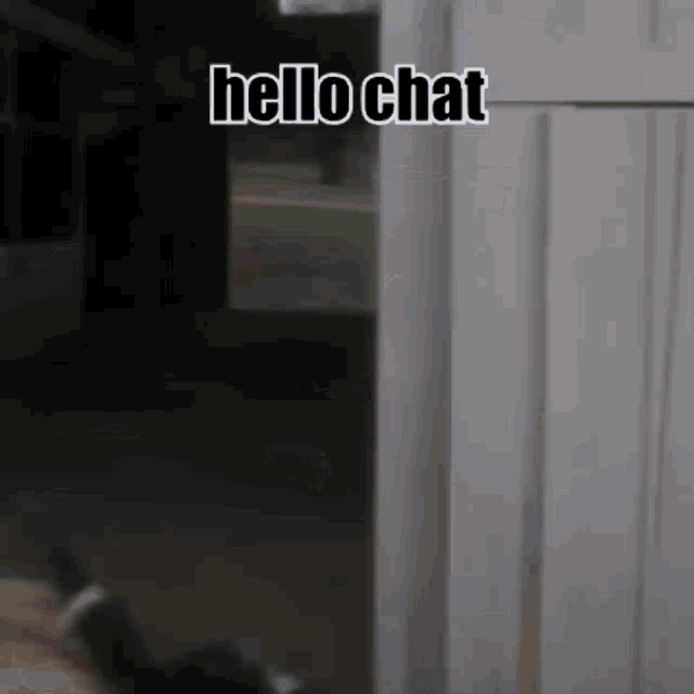 Hello Chat GIF - Hello Chat - Discover & Share GIFs