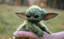 Is Baby Yoda Real GIF - Is Baby Yoda Real GIFs