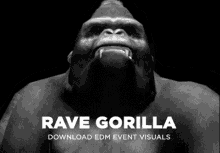Rave Gorilla Grant Gorilla GIF - Rave Gorilla Grant Gorilla Grunky GIFs