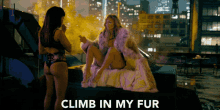 Hustlers Climb In My Fur GIF - Hustlers Climb In My Fur Jennifer Lopez GIFs