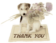 thank you dog puppy spring flowers thank you