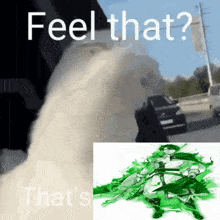 a picture of a car and a picture of a person with the words feel that that 's that 's