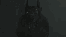 Terror Dog GIF - Terror Dog Scary GIFs