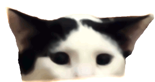 I Forgor Cat Sticker - I Forgor Cat Stickers