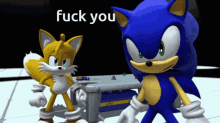 Sonic Fuck You GIF - Sonic Fuck You GIFs