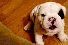 Oh You Stahp It GIF - Stahp Stop Cute GIFs