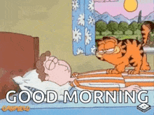 Garfield Get Up GIF