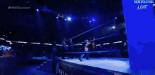 a wrestler is standing in a wrestling ring in front of a crowd of people .