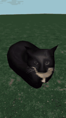 Maxwell Cat GIF - Maxwell Cat Meme GIFs