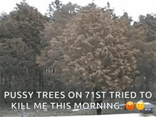 Allergies GIF