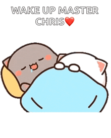 a couple of cartoon cats are hugging each other with the words wake up master chris on the bottom .
