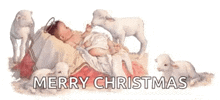 Jesus Christmas GIF - Jesus Christmas Lamb GIFs