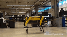 Boston Dynamics Spot GIF - Boston Dynamics Spot Jumprope GIFs