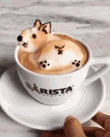 Cute Dog GIF - Cute Dog Coffee GIFs