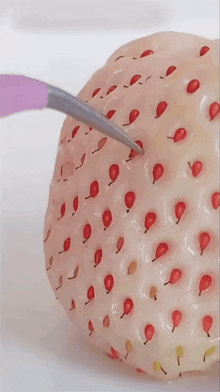 Removing Strawberry Seed Meow Chef GIF - Removing Strawberry Seed Meow Chef That Little Puff GIFs