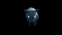 a white pig with the word abor written on its back