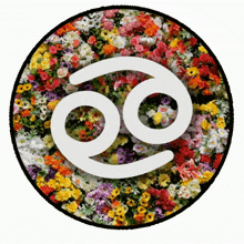 zodiac signs flowers cancer