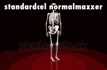 Standardcel Normalmaxxer GIF - Standardcel Normalmaxxer Normalmax GIFs