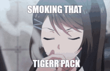 tigerr tigerrplays anime tigerr anime