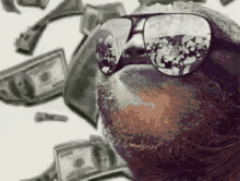 Sloth Payday GIF - Sloth Payday Money GIFs