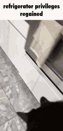 Regained Cat GIF - Regained Cat Fire Throw13 GIFs