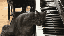 Paws Keys Ominously GIF - Ominous Cat Cats GIFs