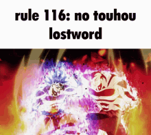 Rule116 No GIF - Rule116 No Touhou GIFs