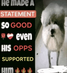 a sign that says he made a statement so good even his opps supported him with a dog in the background
