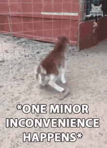 One Minor Inconvenience Happens Slipped GIF