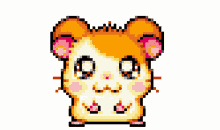 Hamtaro Hamster GIF - Hamtaro Hamster Anime GIFs