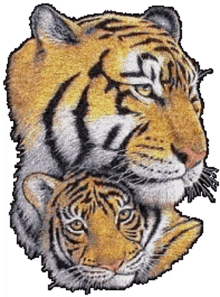 graphics tigers