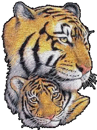 Tigers Glittery Sticker - Tigers Glittery Glitter Tigers Stickers