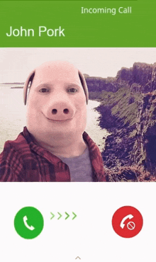 John Pork John Pork Call GIF