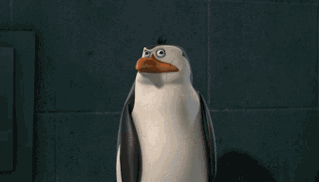 penguins-of-madagascar-rico.gif