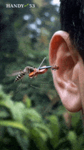 GIF