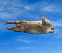 a rabbit is flying through a blue sky with a string attached to it