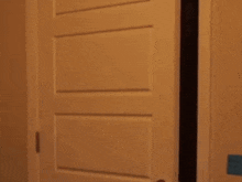 Roozie Arrived GIF - Roozie Arrived Closet GIFs