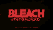 Freebleachsimulcast Bleach Anime GIF - Freebleachsimulcast Simulcast Bleach GIFs