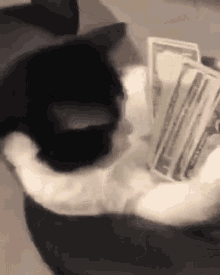 Loaded Money GIF
