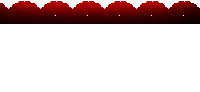 a red and black lace border with a white background