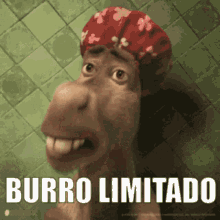 Burro Limitado Burro GIF - Burro Limitado Burro Limitado GIFs