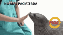 paclover carlinflas