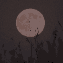 Moon Vibe GIF