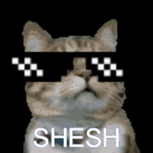 Shesh Sheesh GIF - Shesh Sheesh Sheesh Cat GIFs