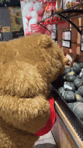 a teddy bear is standing in front of a display of fruits
