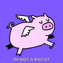 a cartoon of a pig with wings and the words im not a racist
