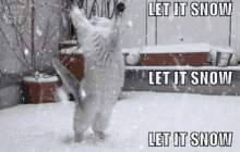 Let It Snow Snowing GIF - Let It Snow Snowing Cats GIFs