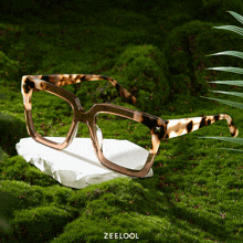 Tortoise Shell Frame Glasses GIF