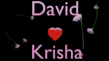 Davidkrisha Davidloveskrisha GIF - Davidkrisha David Krisha GIFs